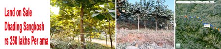 dhading sangkosh 3 ropani 10 ana land