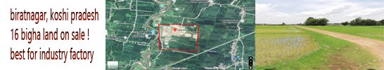 biratnagar 16  bigha land on sale