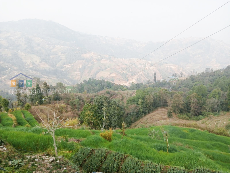 Land for Farming at Nagarkot