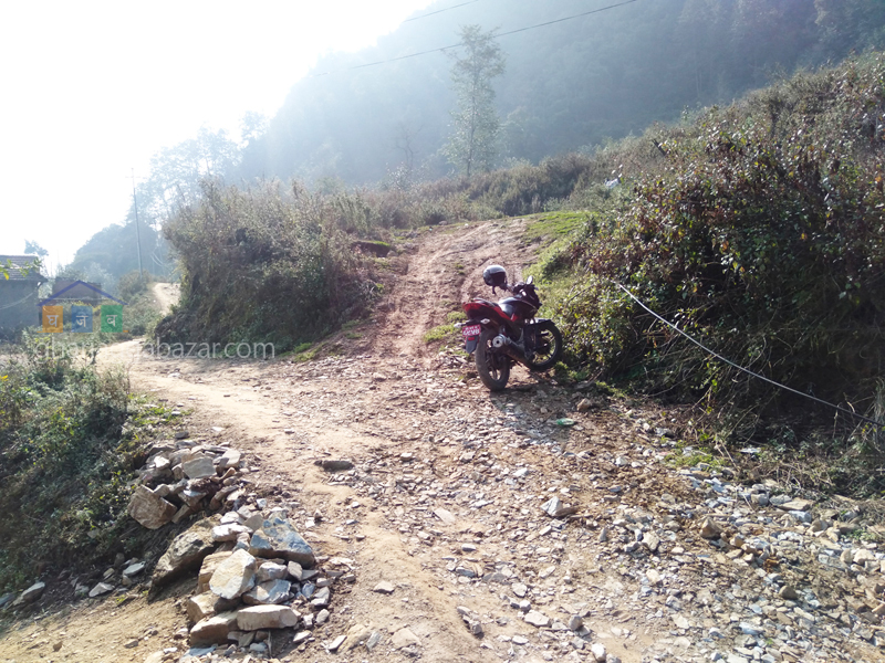 Land for Plotting at Kirtipur Machhegaun