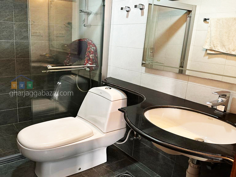 Apartment on Rent at Panipokhari 