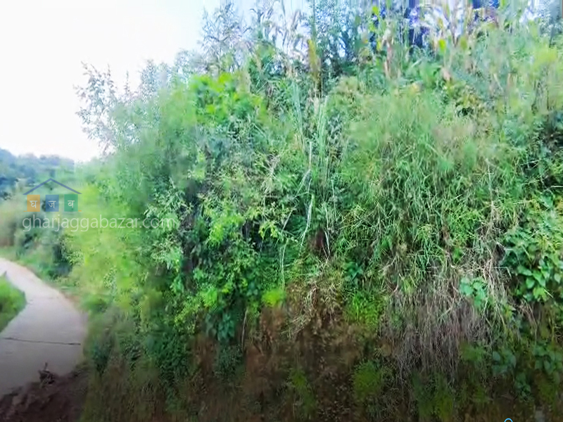 Land for Hotel Resort on Sale at Lakuri Bhanjyang