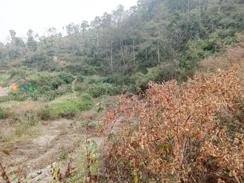 Land for Farming at Nagarkot