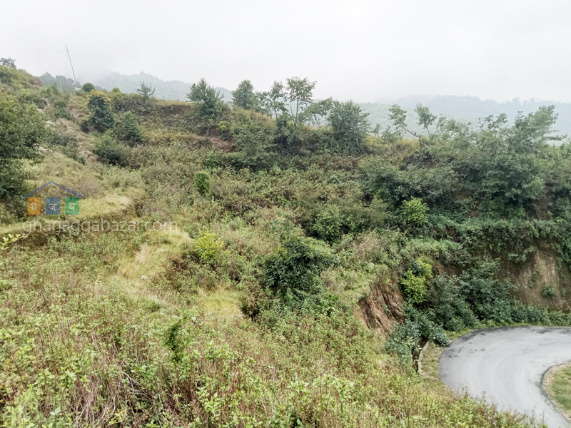 Land on Sale at Kattike Nagarkot