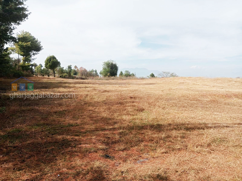 Land for Hotel Resort on Sale at Lele