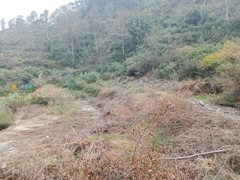 Land for Farming at Nagarkot