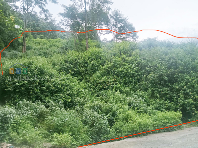 Land on Sale at Narayanthan Height