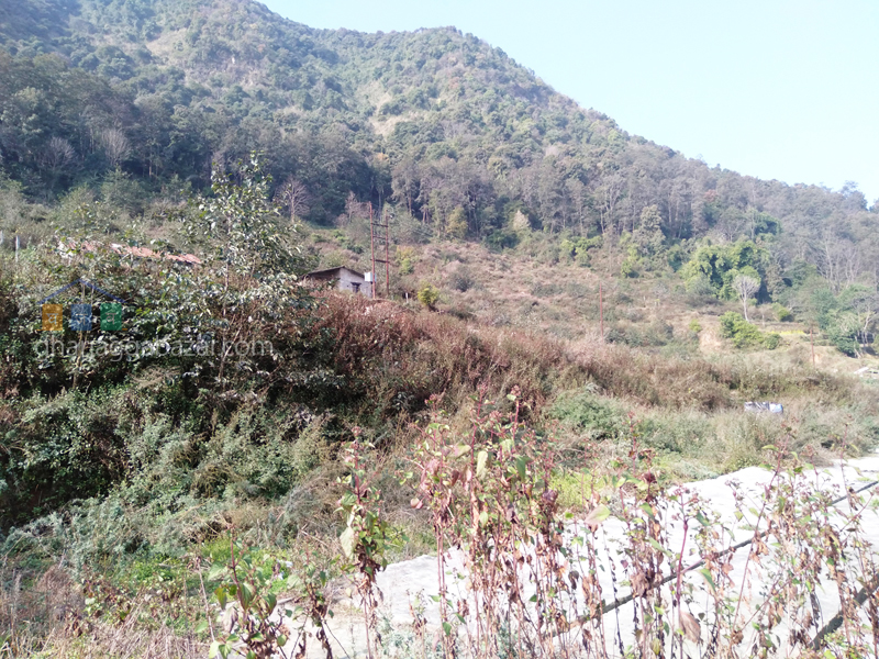 Land for Plotting at Kirtipur Machhegaun