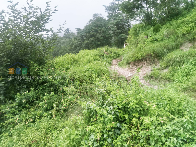 Land on Sale at Narayanthan Bisnumati