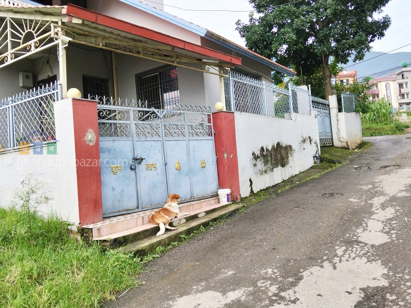 House on Sale at Thankot Tribhuwan Park