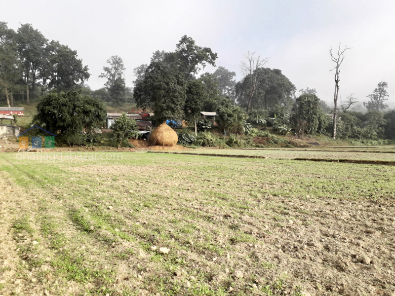 Land on Sale at Gaindakot