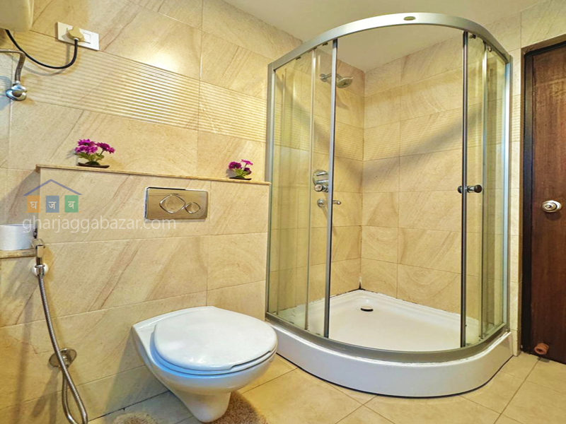 Apartment on Rent at Sanepa