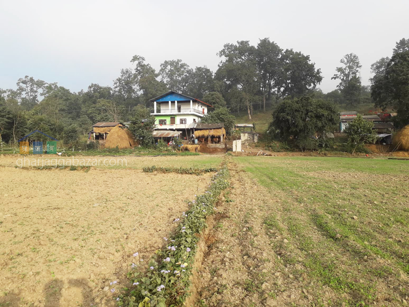 Land on Sale at Gaindakot