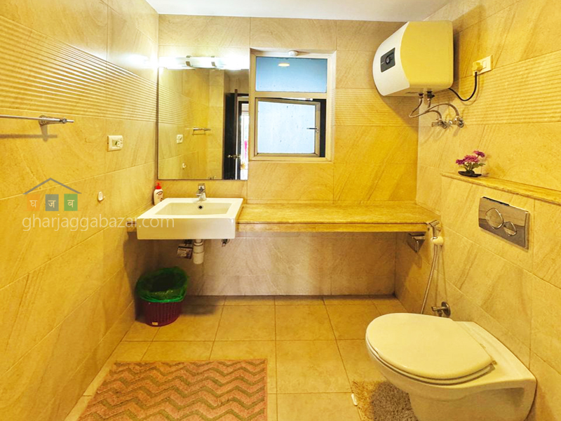 Apartment on Rent at Sanepa