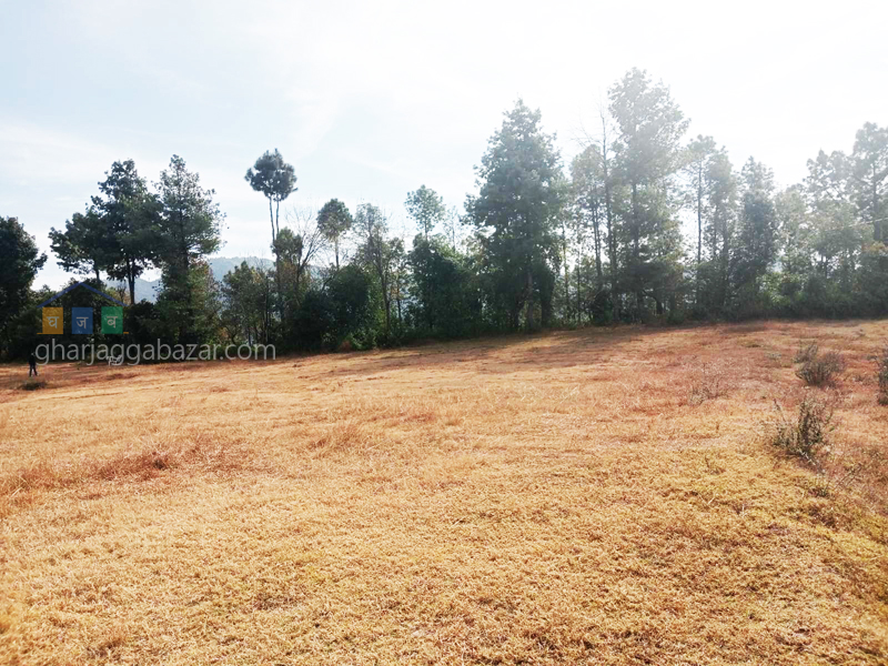 Land for Hotel Resort on Sale at Lele