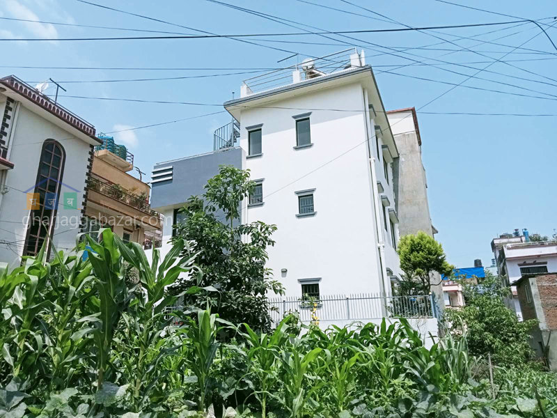House on Rent at Bhangal Sundarbasti