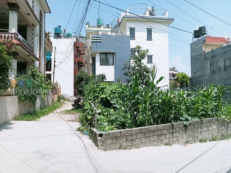House on Rent at Bhangal Sundarbasti