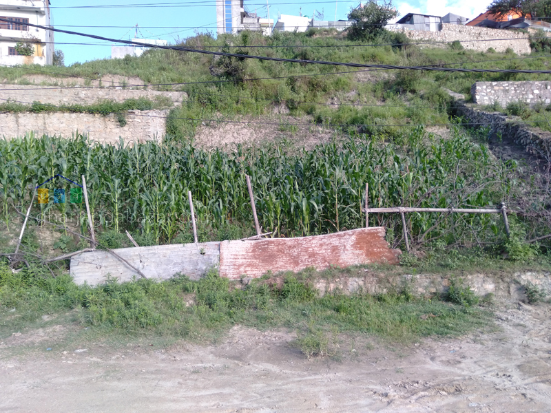 Land on Sale at Boudha Simaltar