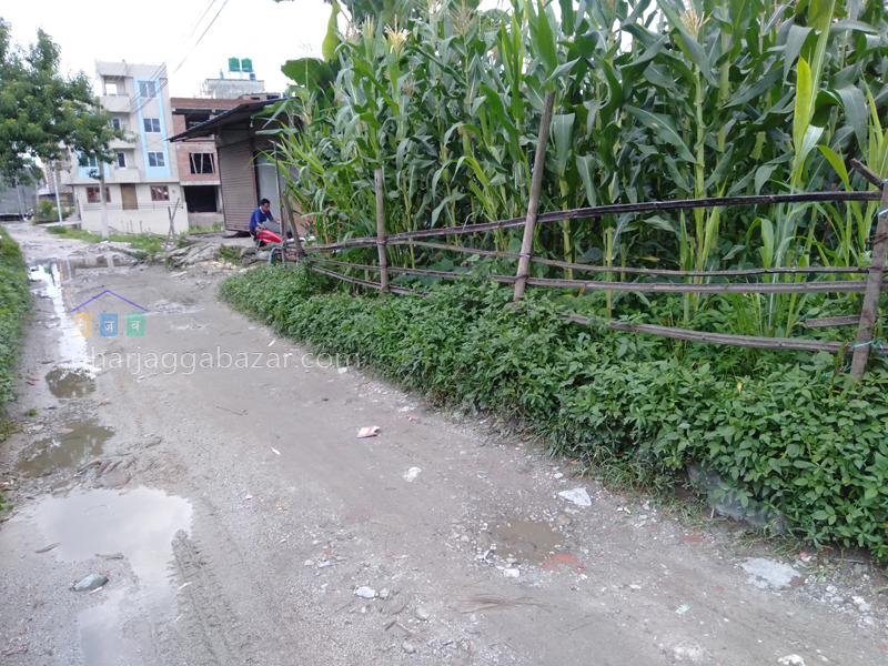 Land on Sale at Tokha Dhaneshwor