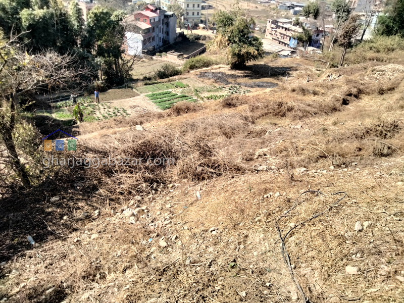 Land on Sale at Bhaisepati Karyabinayak