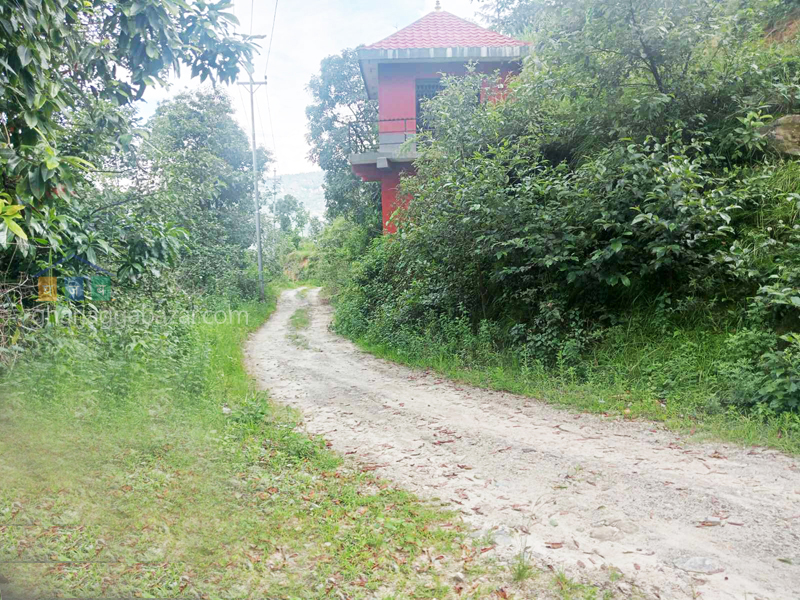 Land on Sale at Dhulikhel Khatrigaun Chapleti