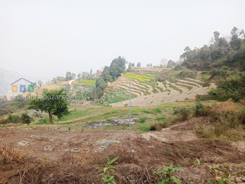 Land for Farming at Nagarkot