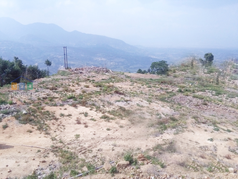 Land on Sale at Chhampi Devi Chaur