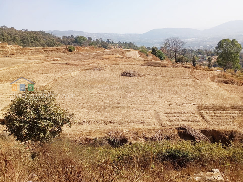 Land on Sale at Changunarayan