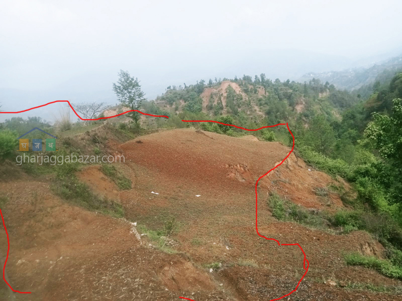 Land on Sale at Chhampi