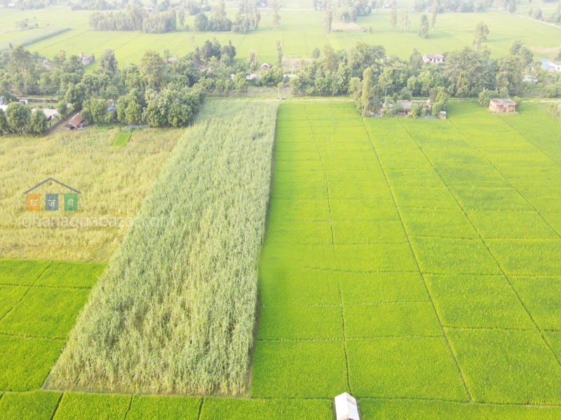 Land for Housing at Bhurigaun Bardiya