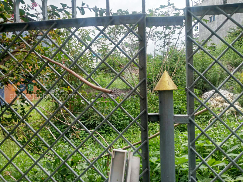 Land on Sale at Kuleshwor Likmarga
