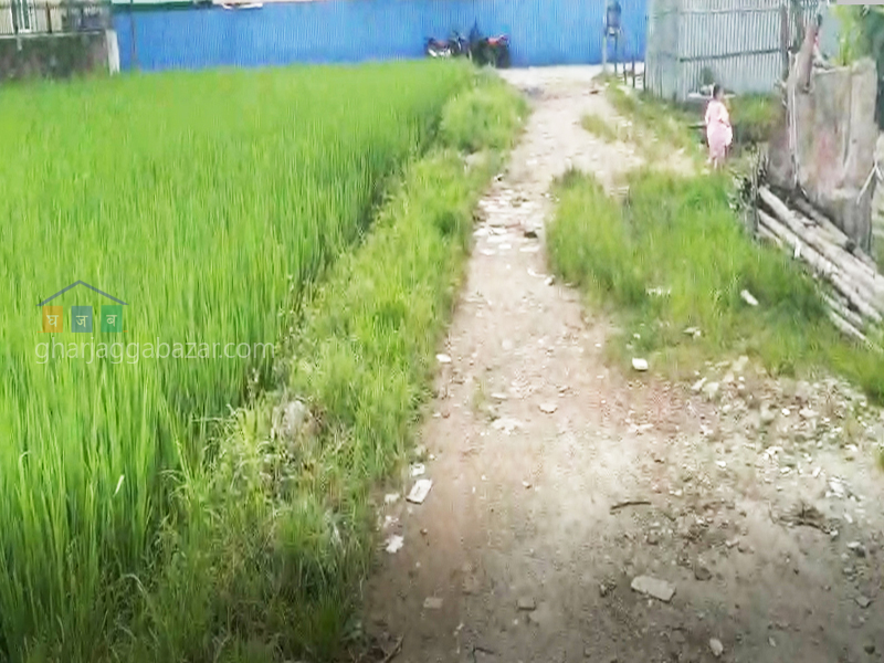 Land on Sale at Ganeshchowk Bhangal