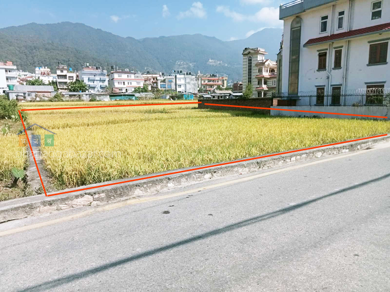 Land on Sale at Pasikot