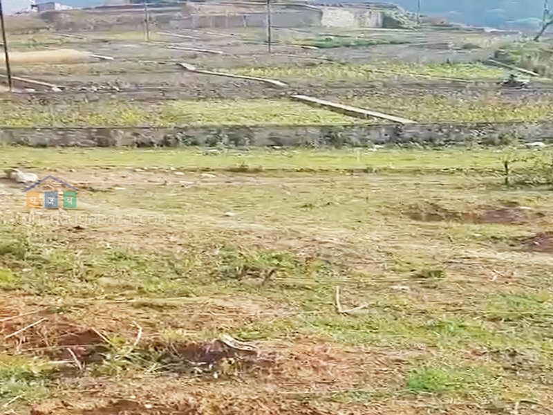 Land on Sale at Badikhel