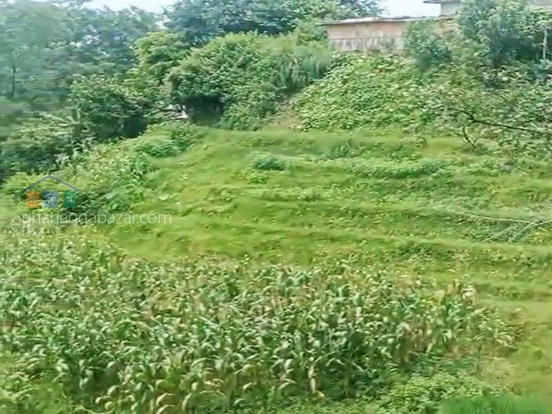 Land on Sale at Chhampi