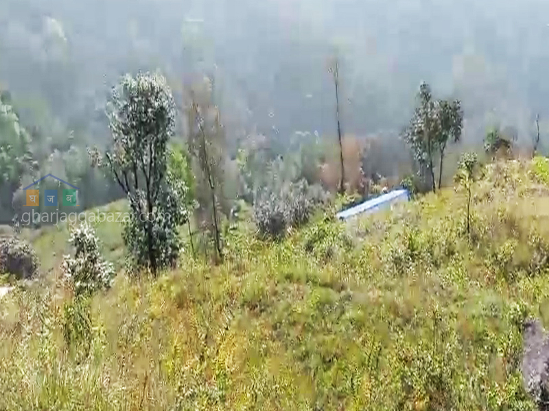 Land on Sale at Nuwakot