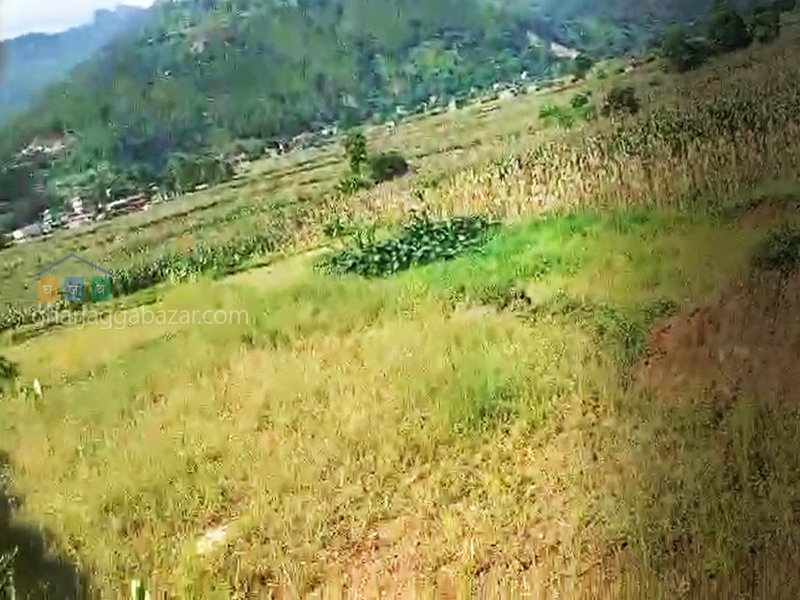 Land on Sale at Chaughada