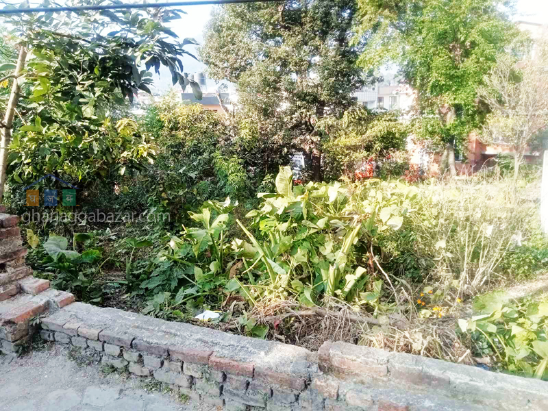 Land on Sale at Chhauni Kimdol