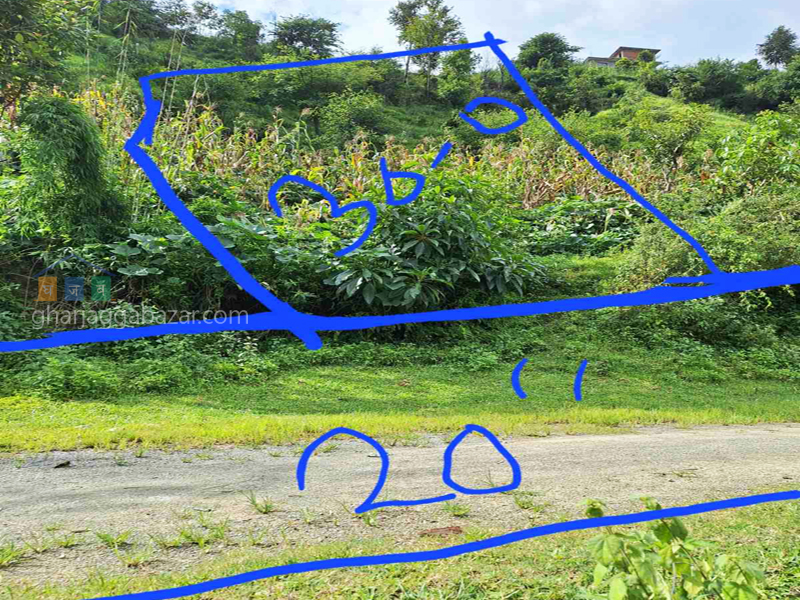 Land on Sale at Chhampi