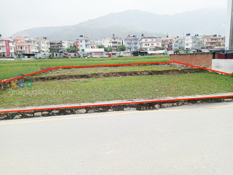 Land on Sale at Pasikot