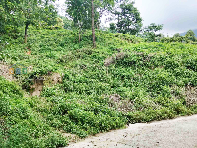 Land on Sale at Narayanthan Height
