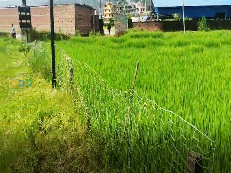 Land on Sale at Banepa
