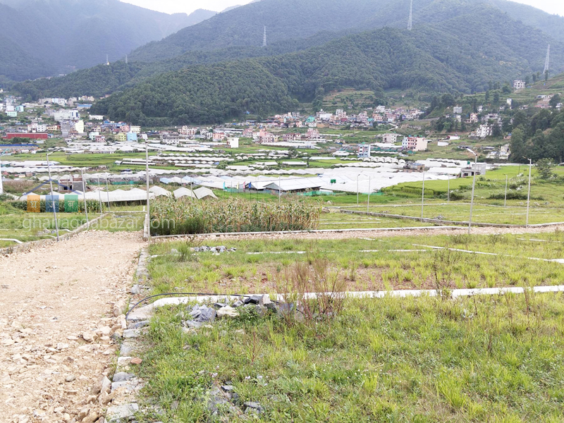 Planning Land on Sale at Thankot Badbhanjyang 