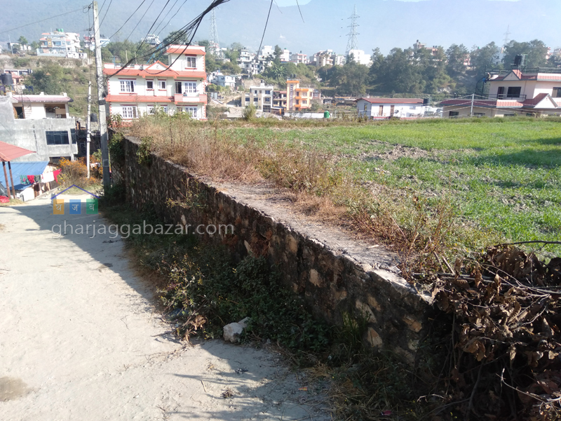 Land on Sale at Khadka Bhadrakali