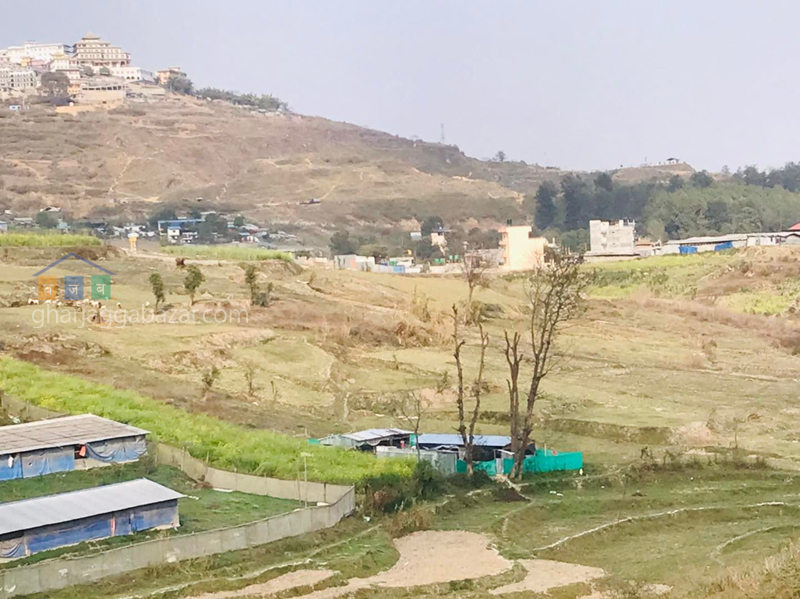 Land for Plotting at Kirtipur