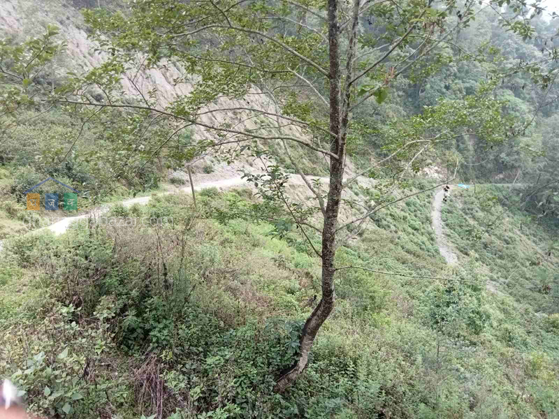 Land on Sale at Kattike Nagarkot