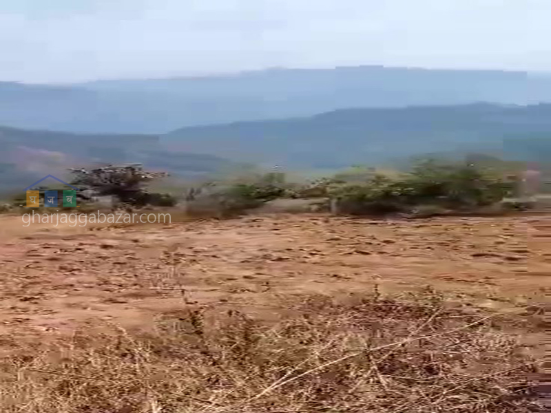 Land on Sale at Kalinchowk Mandir