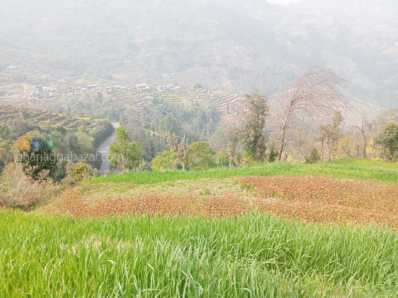 Land for Farming at Nagarkot