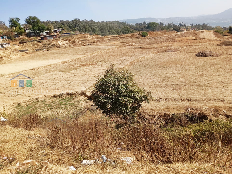 Land on Sale at Changunarayan