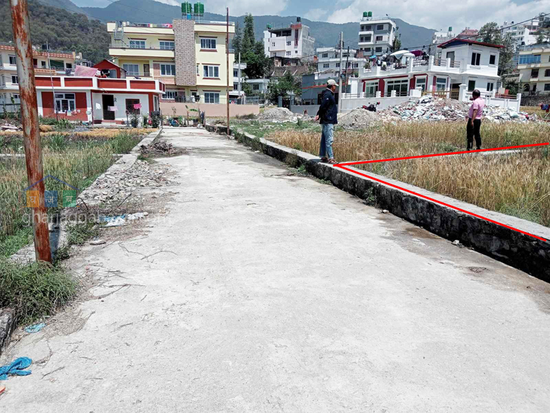 Land on Sale at Pasikot